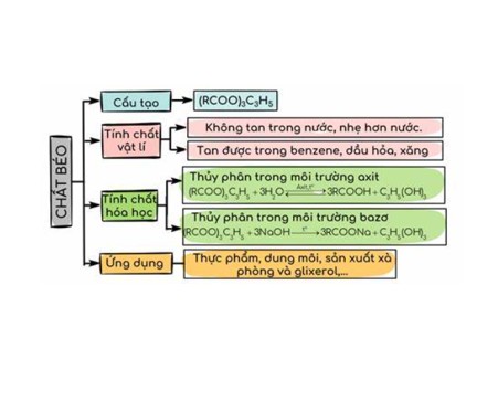 Phương pháp chiết xuất Soxhlet- Xác định hàm lượng chất béo trong thực phẩm